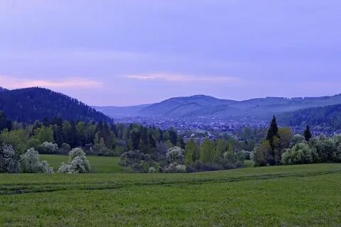 Кызыл озек алтай