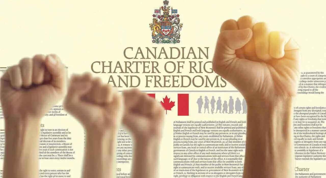 Canadian Charter of rights and Freedoms. Rights and Freedoms. Эстетика English Human rights and Freedoms. Charter. Right freedom