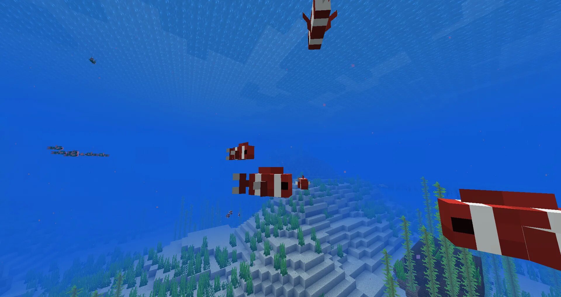 Теплый океан майнкрафт. Майнкрафт 1.13 Морское обновление. Майнкрафт океан 1.13. Minecraft Тропическая рыба. Майнкрафт 1.13 рыбы.