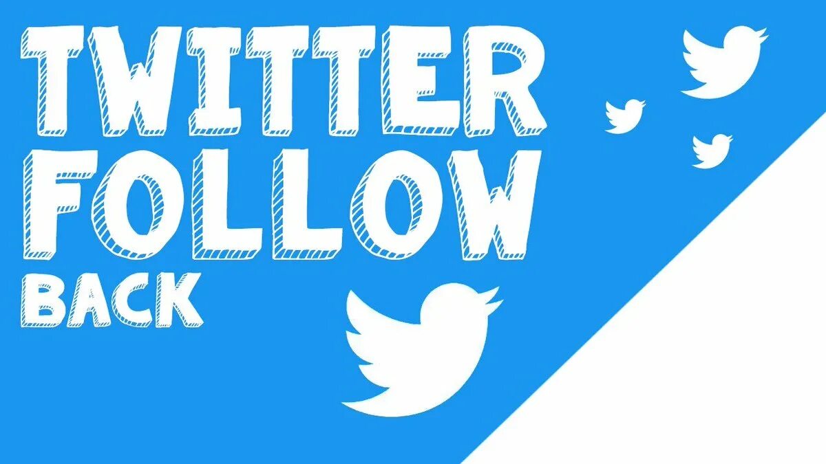 I follow you back. Follow back. follow. people follow you.
