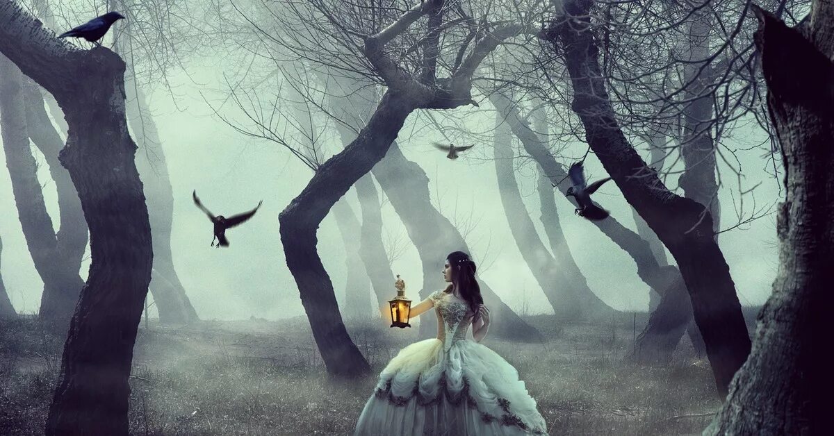 Заблудшей жизнь. Заблудиться белая картинка. Бабочка заблудшая зимой фон для афиши сказки. Заблудшей жизнь. Заблудшей жизнь.