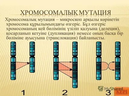 Боран порно