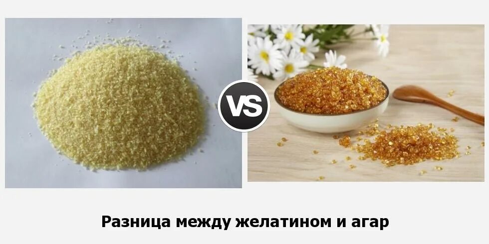 Можно использовать желатин вместо агара. Желатин и агар. желатин агар-агар. пектин агар агар и желатин. желатин и агар-агар соотношение.