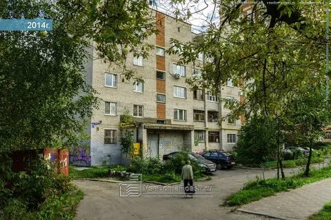 Пушкино 13