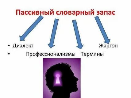 Что такое активный или пассивный словарный запас