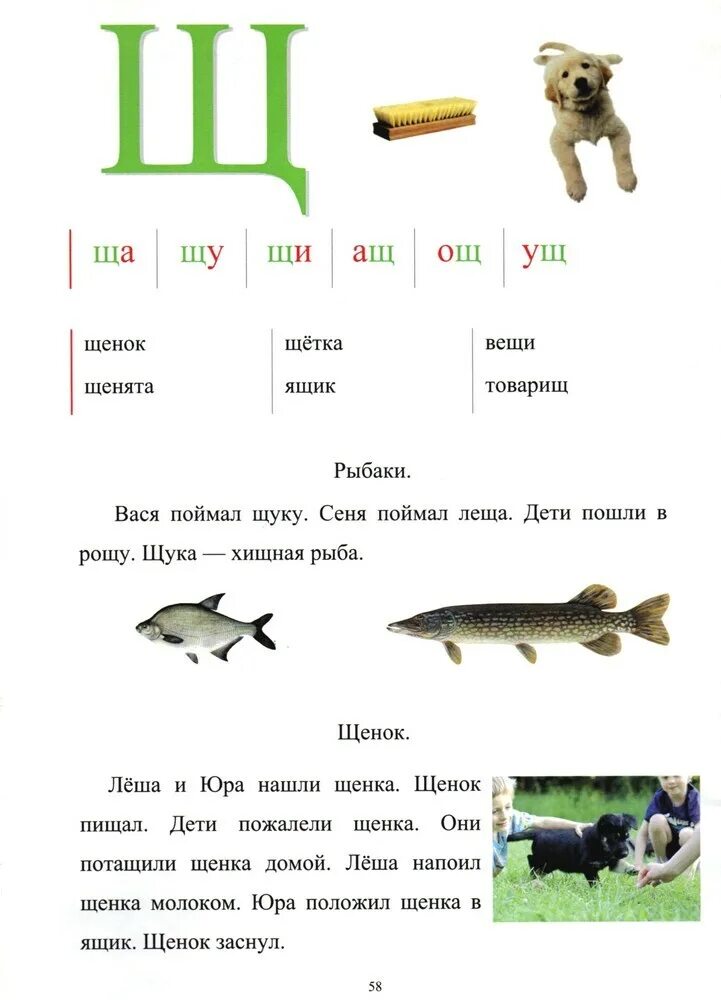 4 слова на щ. Щ для дошкольников. Буква щ. Карточки буква щ для дошкольников. Щ задания для дошкольников.