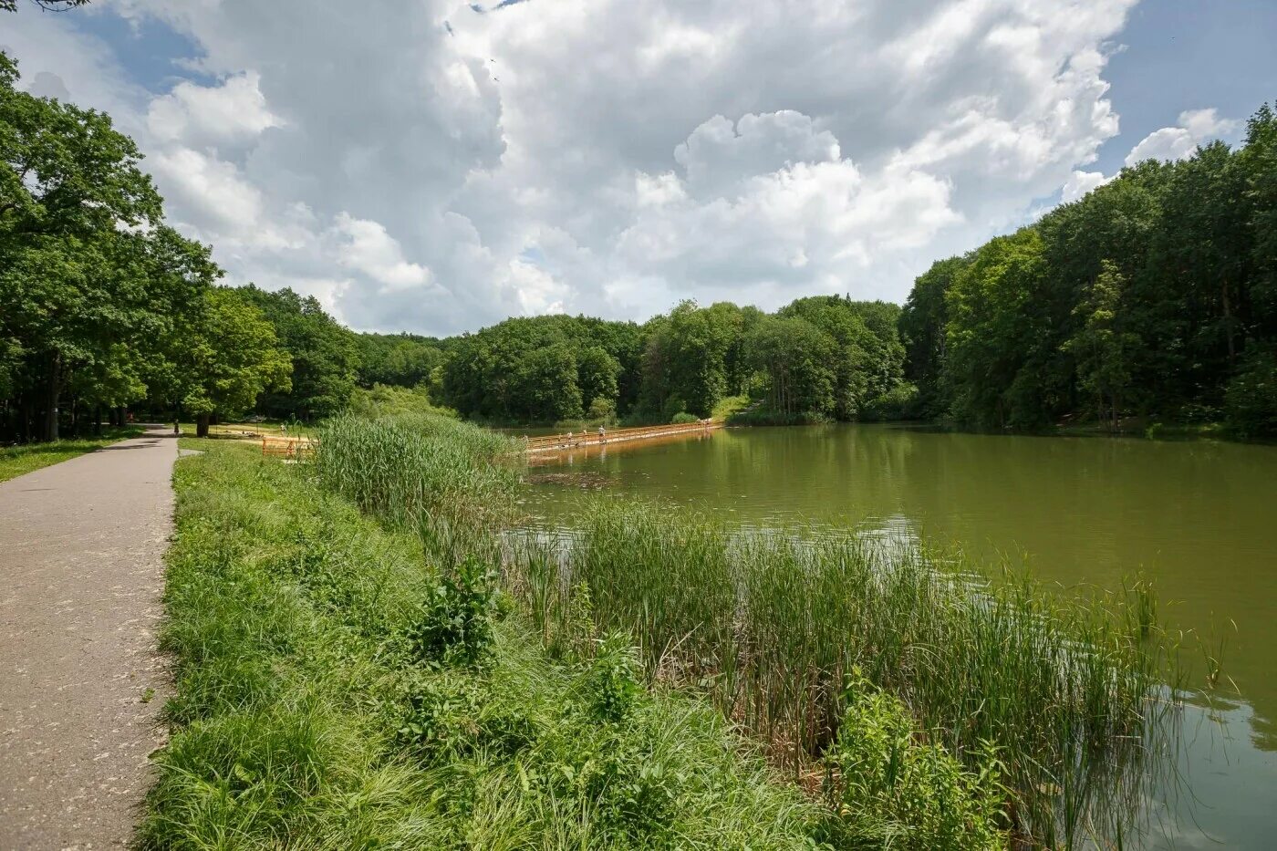 Парк маршалково в строителе белгородской области. Маршалково парк в г строитель. Парк маршалково белгород строитель. Урочище маршалково строитель. Парк маршалково в строителе.