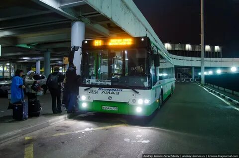 Автобус 272 внуково