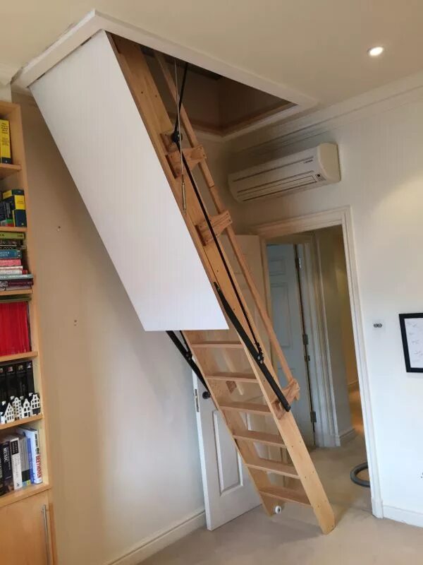 Electric Ladder on Sale