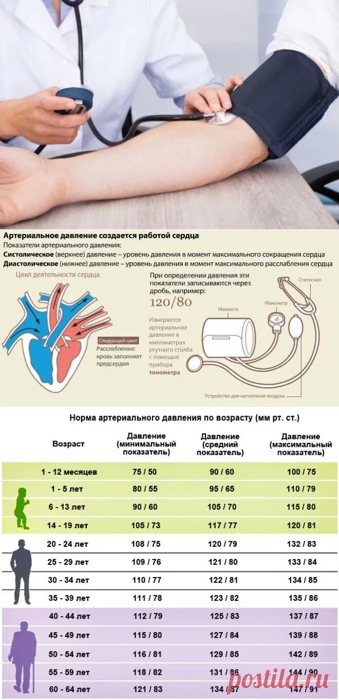 Артериальное давление показатели нормы. Нормы стерильного давления. Нормальное давление у человека. Норма артериального дарения.