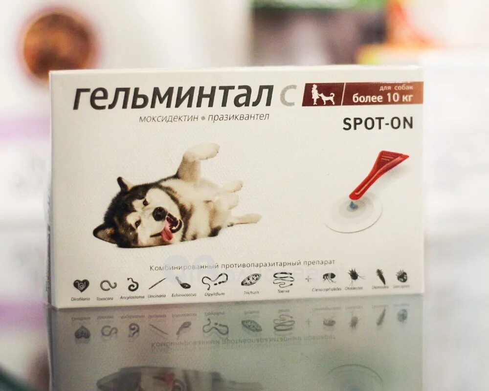 Как проглистогонить собаку. Капли на холку от глистов для собак. гельминтал капли на холку для собак. проглистогонить собаку. гельминтал для собак наклейки.