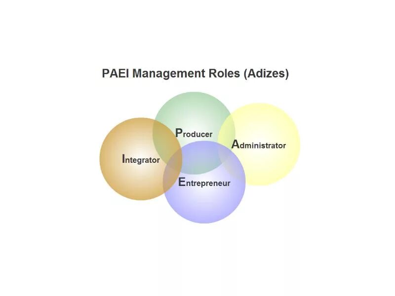 Модель paei. Стили paei. Paei функции. Функция менеджмента по paei. Paei тест расшифровка