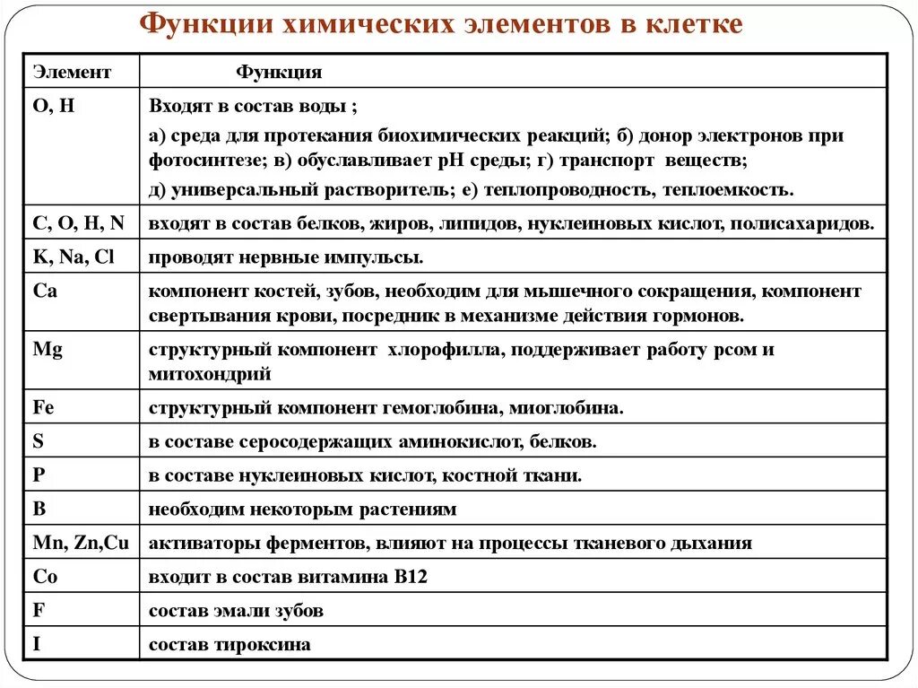 Роль химических соединений. Химический состав клетки и их функции. Биологически важные химические элементы клетки таблица 10 класс.