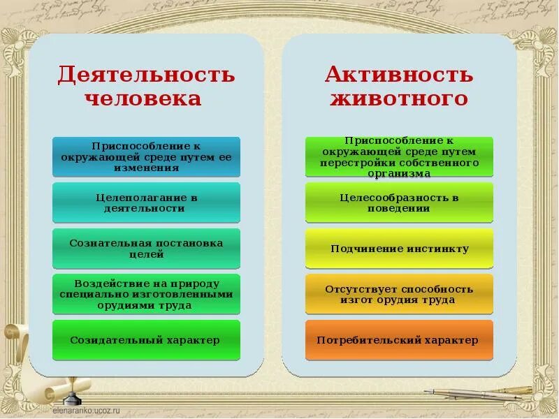 Чем отличается поведение человека от животного. Деятельность человека. Деятельность животных и деятельность человека. Особенности деятельности человека. Отличие деятельности от активности животных.