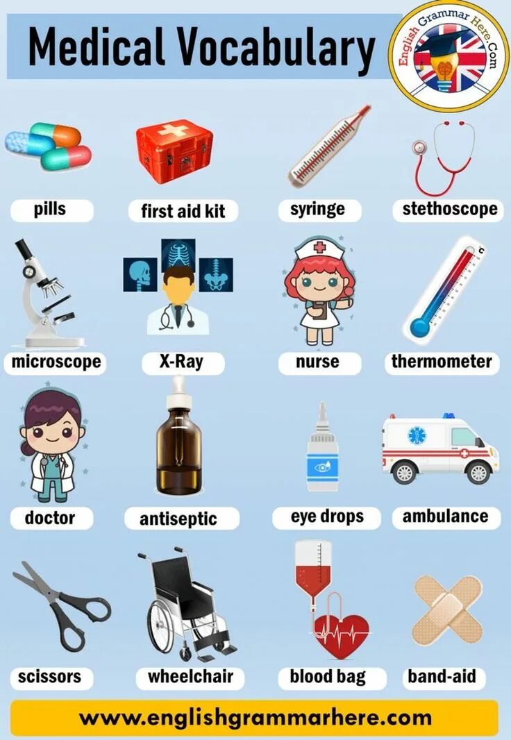 College vocabulary. College vocabulary. University vocabulary. College vocabulary. University education vocabulary.