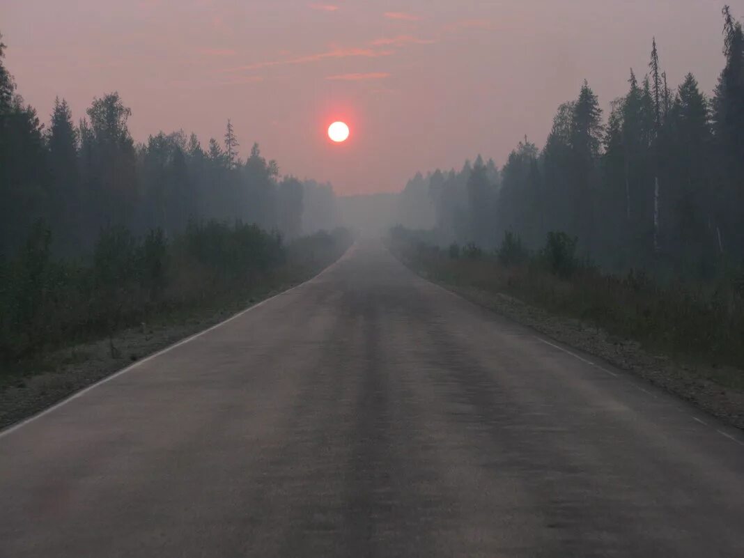 Долгая дорога и луна. Дорога домой. По дороге домой. Дорога домой картинки. Путь домой фото.