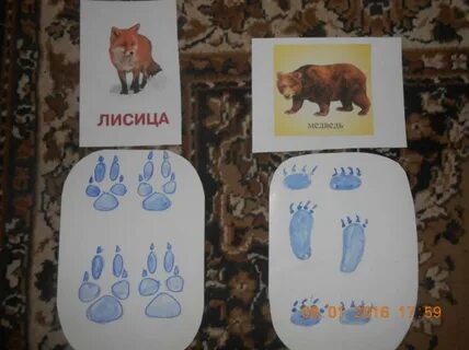 Группа следы