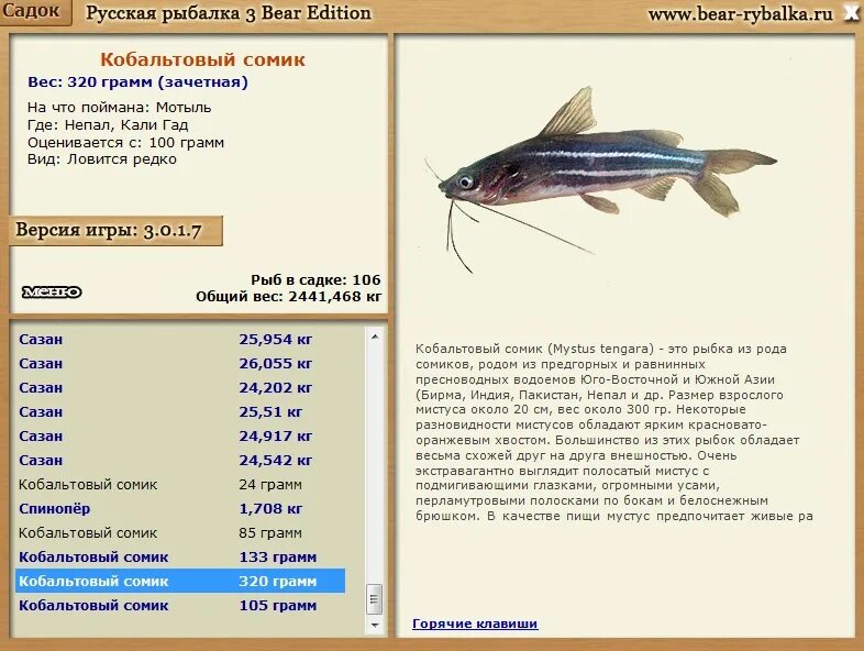 таблица совместимости аквариумных рыбок. аквариумные рыбки сомики размножение. таблица уживаемости аквариумных рыбок. аквариумные сомы совместимость с другими. рыбка данио аквариумная совместимость.