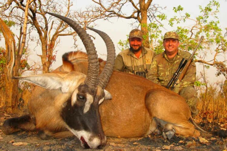 Охота сафари. Фотосафари охота. Охота сафари. Фотосафари охота. Трофейная охота в африке.