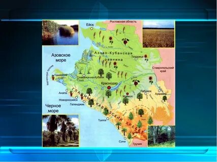 Животный мир азово кубанской равнины