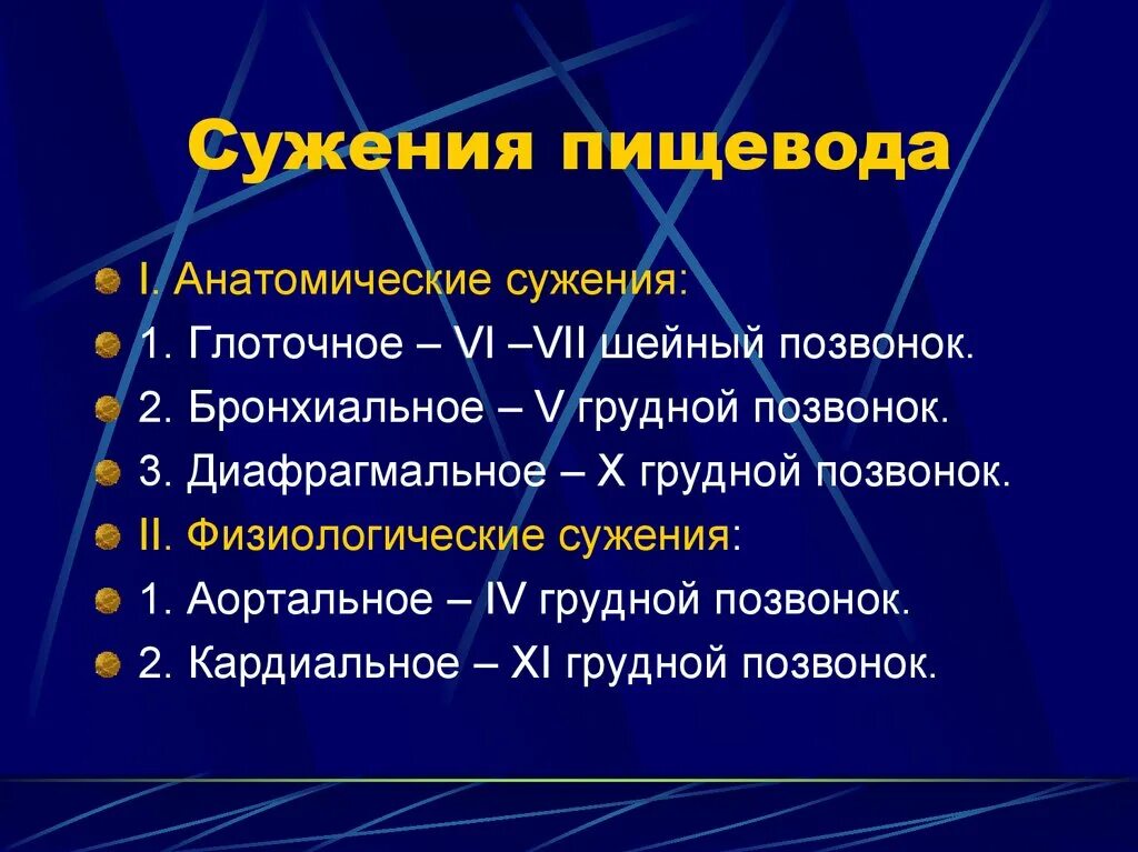 Локализация пищевода. Анатомические сужения пищевода. Сужения пищевода анатомия физиологические и анатомические. Физиологические сужения пищевода.