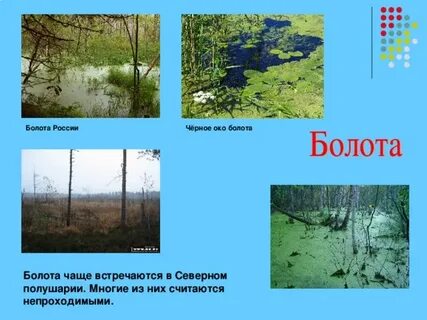 Имя болот