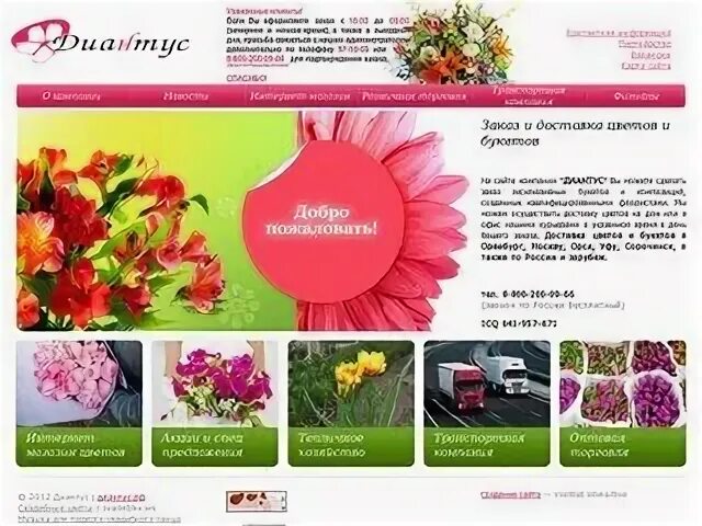 Цветы в успехе оренбург. Оренбург цветы сайт. Свежих цветов оренбург. Оренбург букет студия. Цветы в успехе оренбург.