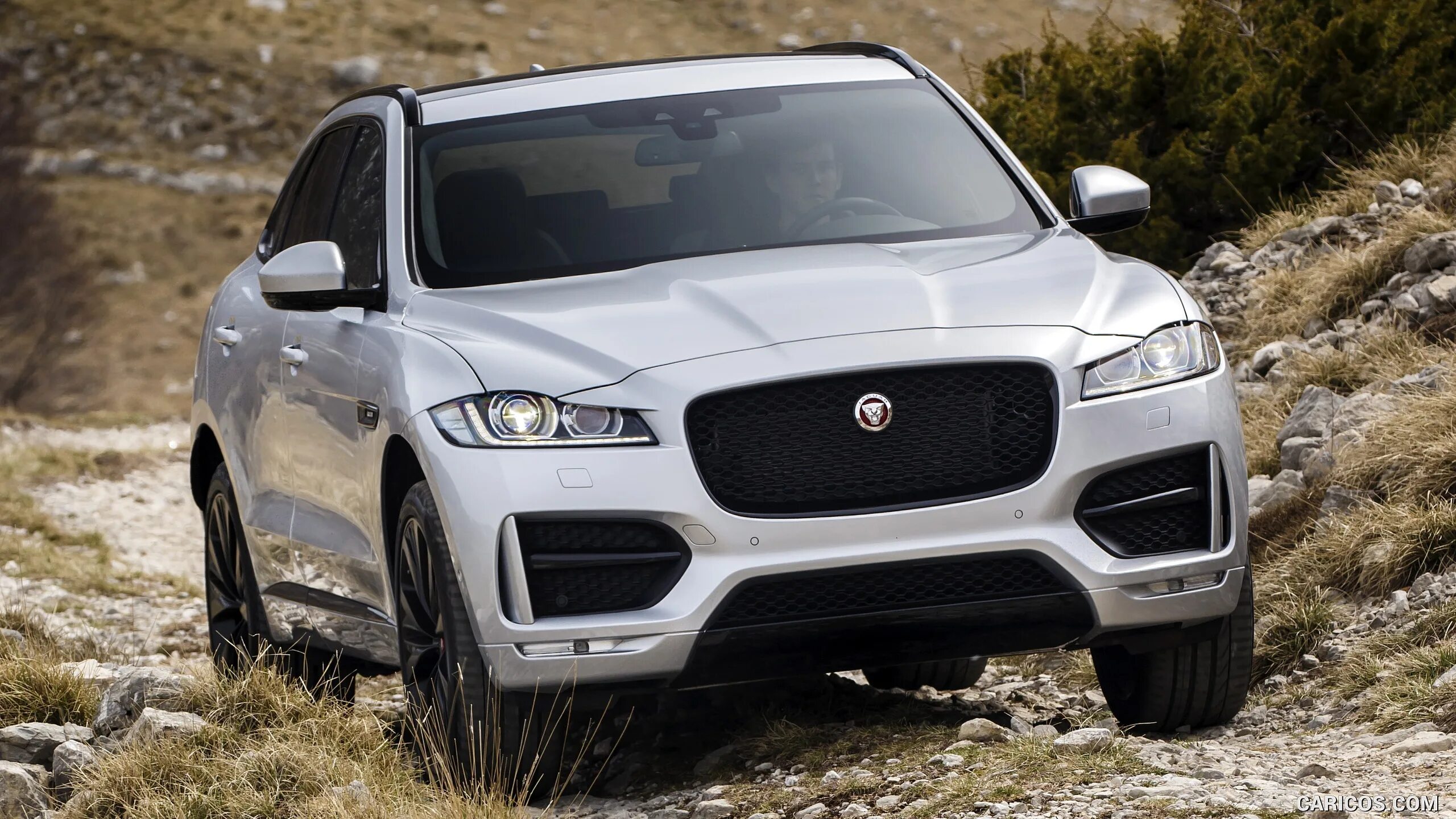 Jaguar f pace 2018. Ягуар ф пейс. серебристый ягуар ф пейс. ягуар джип дизель. jaguar f-pace серебристый.