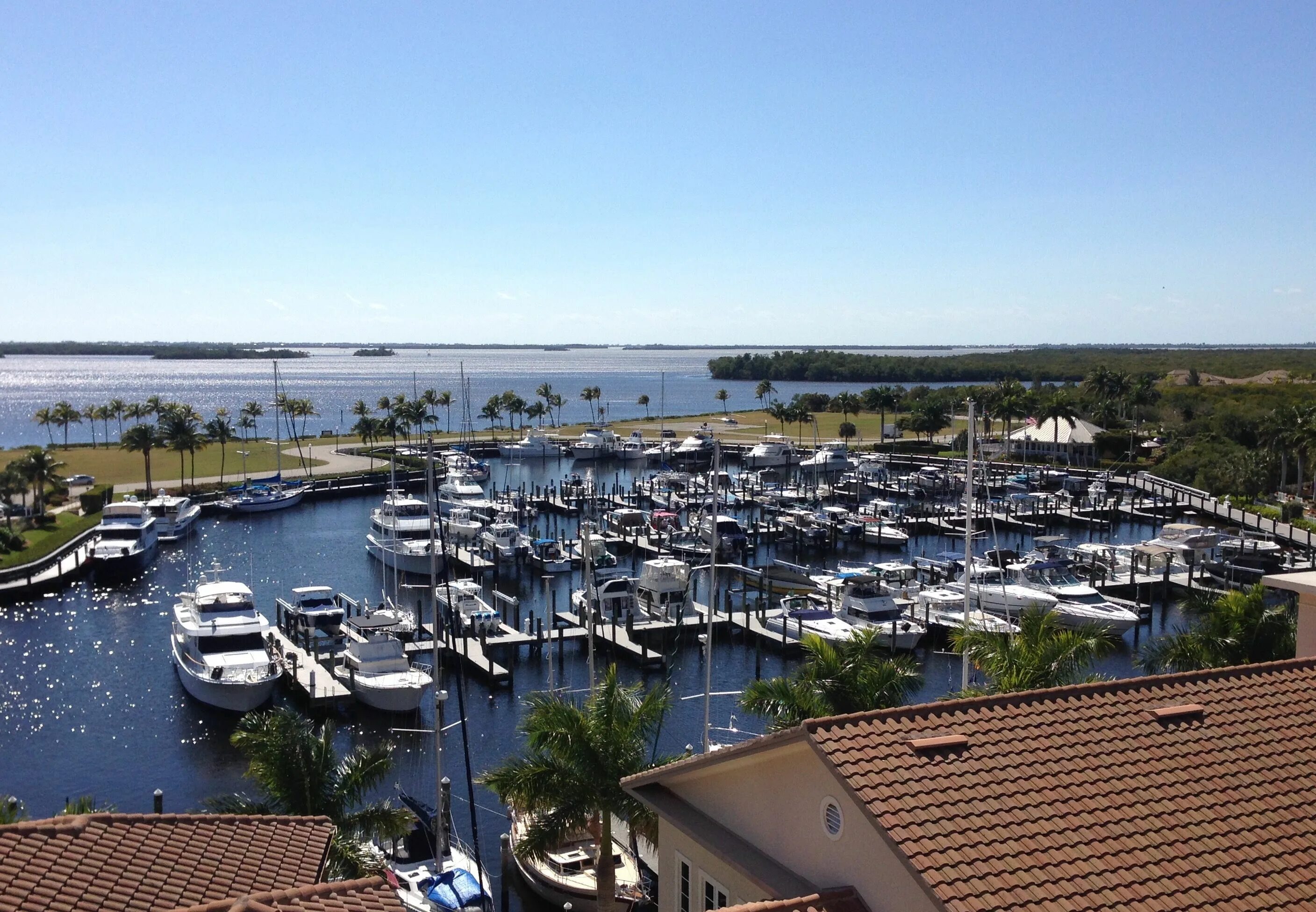 Cape coral