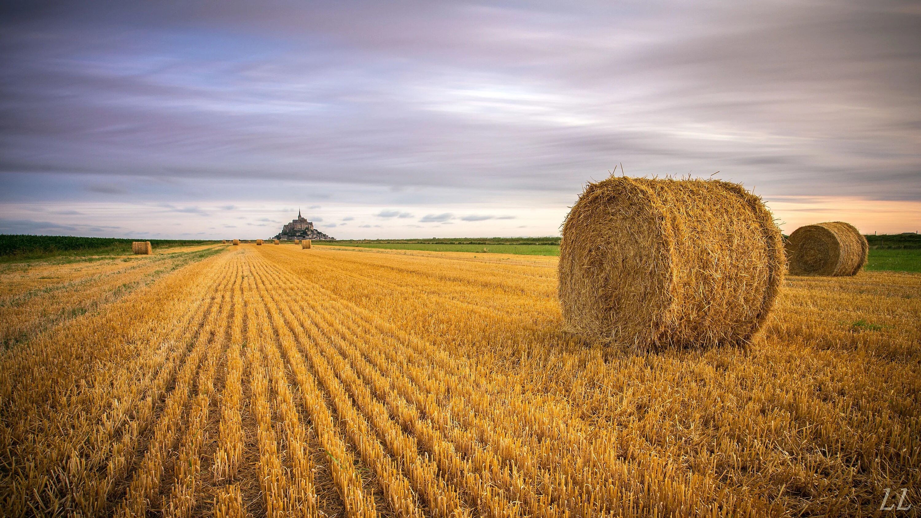Сх поле. Пахотные поля Белоруссия. Пшеничные поля Франции. Поле сельское хозяйство. Сельское хозяйство Франции.