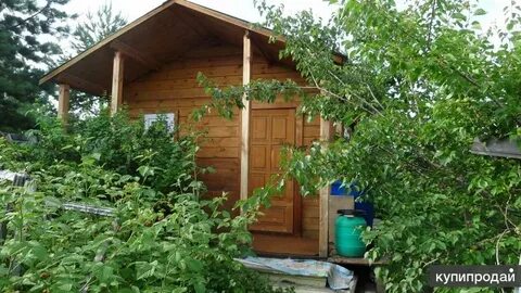 Авито дачи александровка дачи