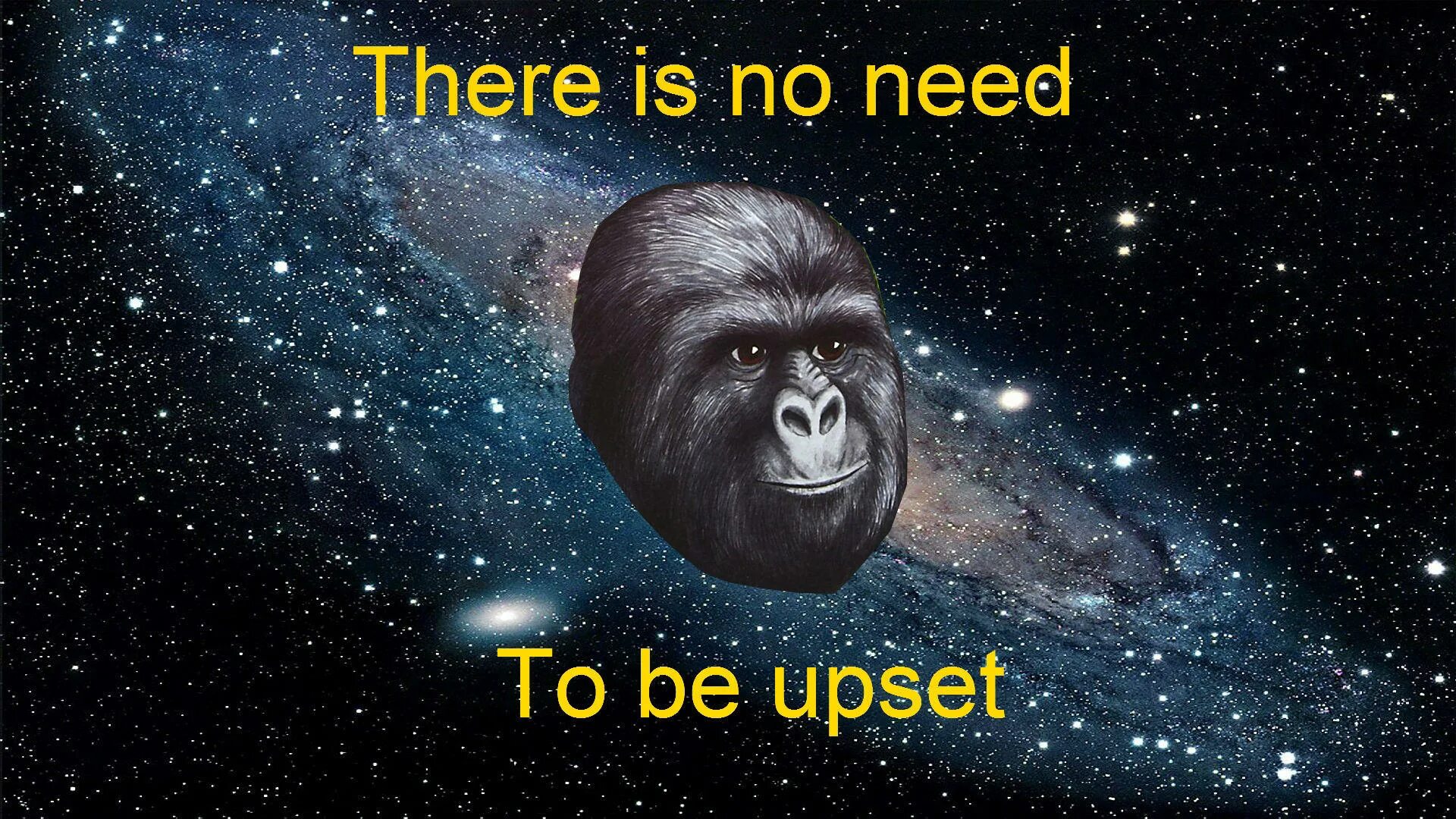 He upset because his cat got. There is no need to be upset. There is no need. To be upset. There is no need to be upset meme.