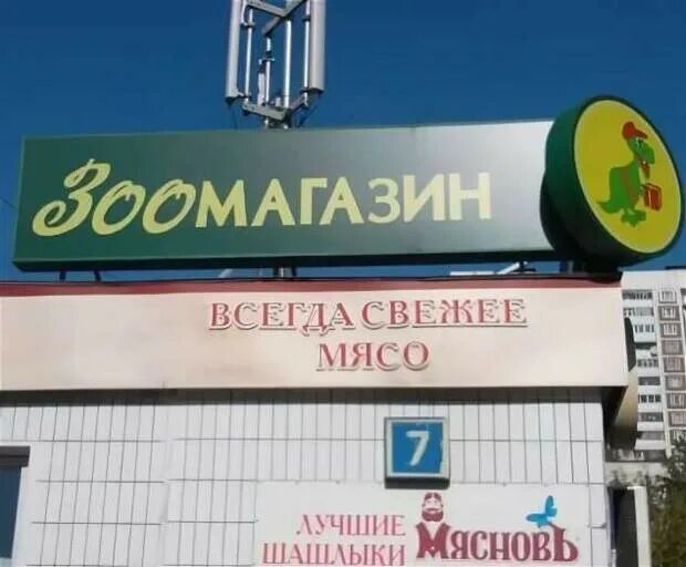 Всегда свежее. Зоомагазин всегда свежее мясо. Вывеска «всегда свежее потому что рядом»...