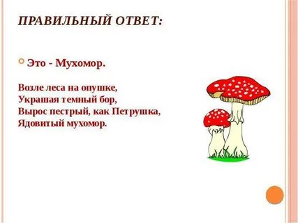 Грибы вопросы ответами