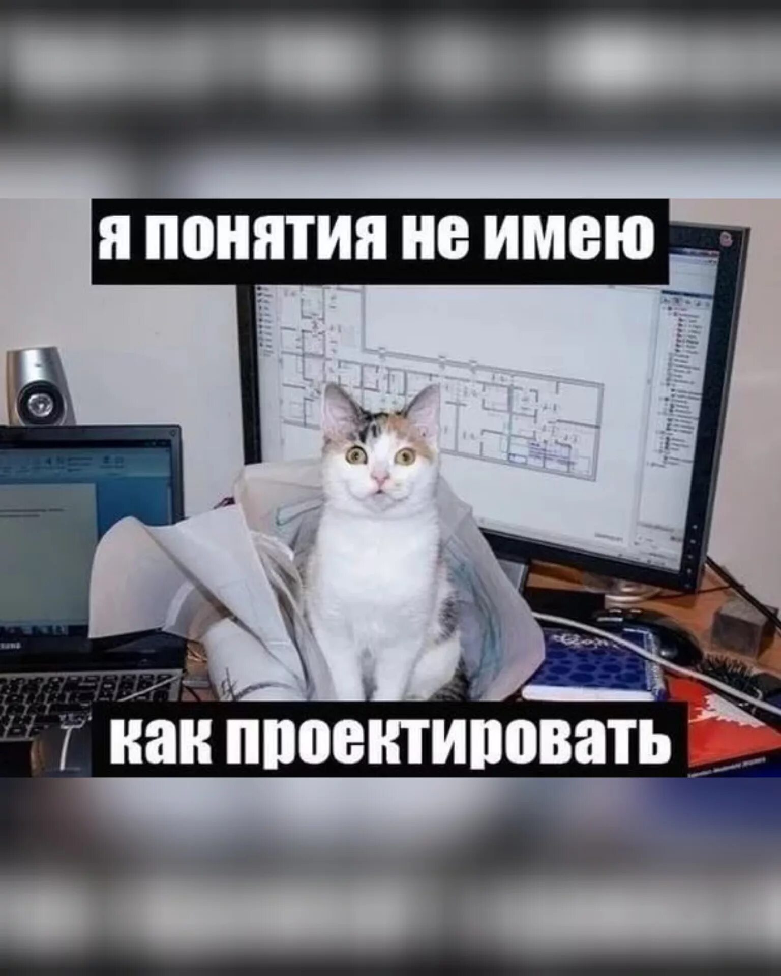 Она понятия не имеет. Ты лучше будь один чем с кем. Терпеливость мемы. Нет понятия не может. Она понятия не имеет.