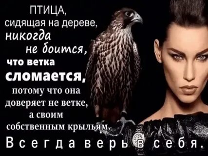 Птица сидящая на ветке не боится