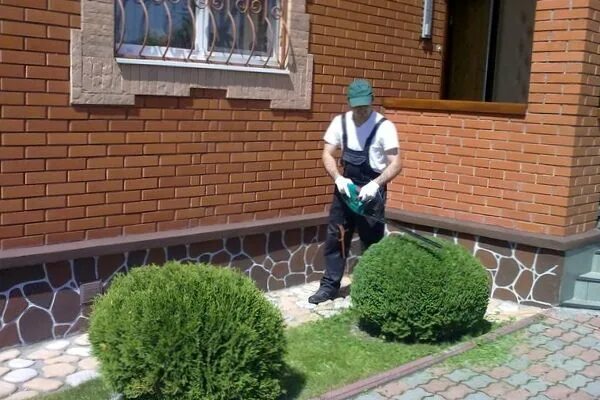 Разнорабочий помощник по хозяйству. Сторож помощник по хозяйству. Помощники на даче. Садовник. Услуги садовника.