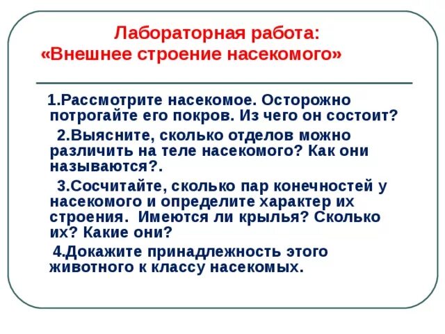 Составьте таблицу особенности внешнего строения насекомого Презентация на тему "Тип Членистоногие" скачать бесплатно презентации по Биоло