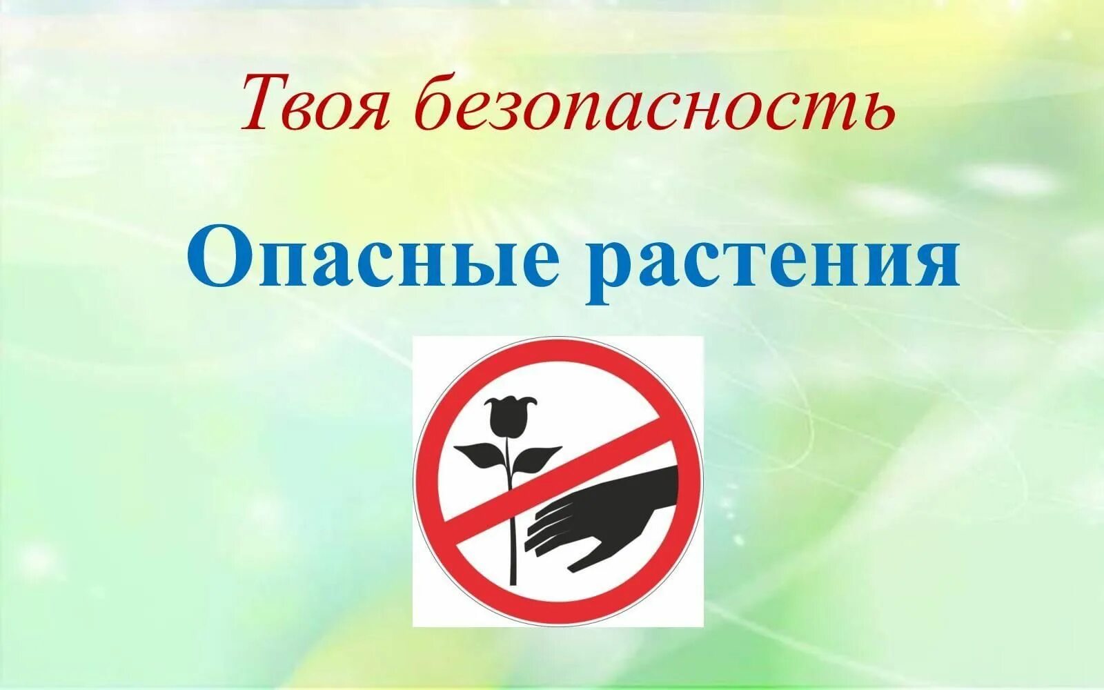 Осторожно ядовиты. Осторожно ядовитые растения. Ядовитые растения памятка для родителей в доу. Осторожно грибы. Ядовитые растения.