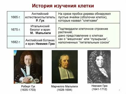 История изучения темы