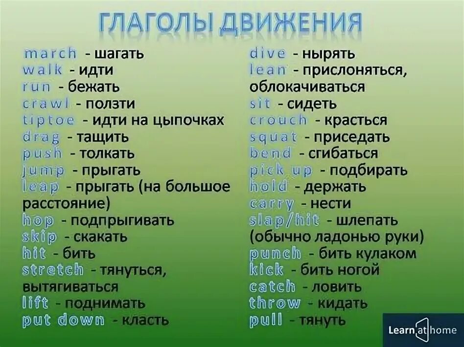 Глаголы особого спряжения - Русский язык без проблем
