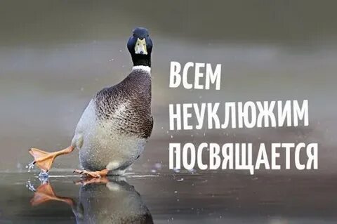 Как не быть неуклюжим