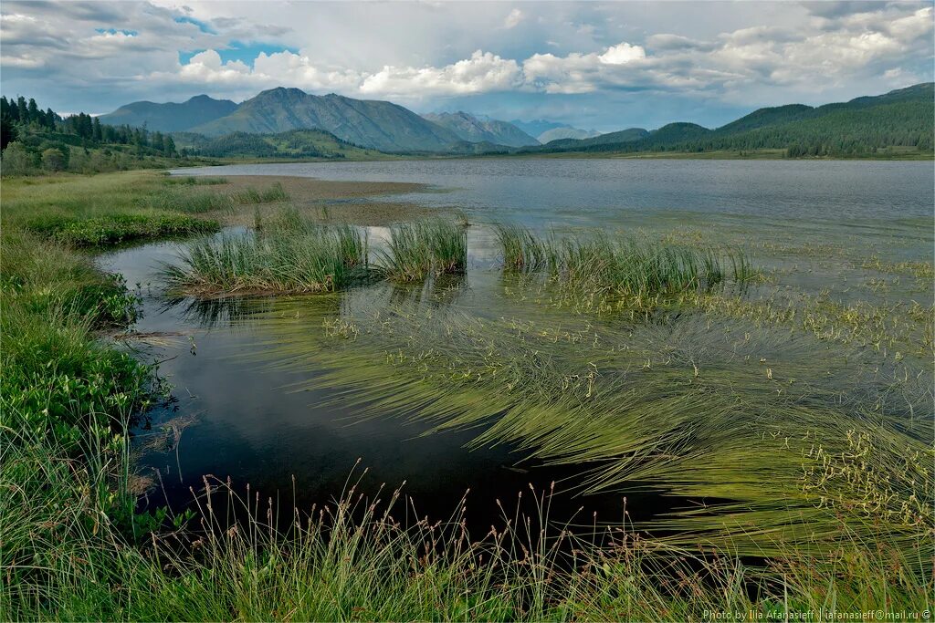 волгоград восточно казахстанская 18. гора белуха восточный казахстан. город серебрянск восточно-казахстанской области. восточно казахстанская 16. восточно казахстанская 16.