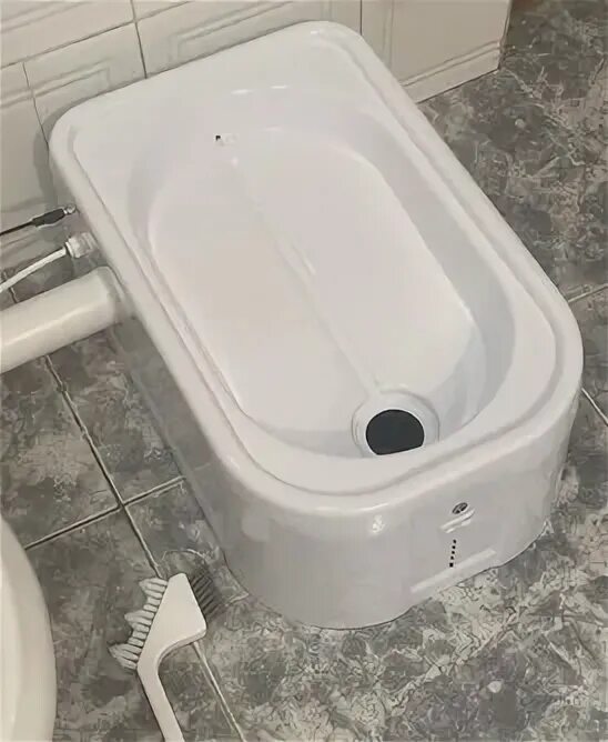 туалет тг. автоматический кошачий туалет. скрытые фотокамеры в туалете. самые необычные туалеты. дизайнерские проекты туалетов.