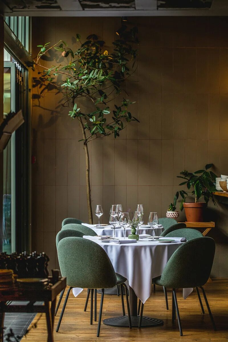 Оранжерея таврического сада банкет. Ресторан сад спб петроградка. Ресторан сад на чкаловской. Ресторан сад санкт петербург. Сад ресторан спб большая зеленина.