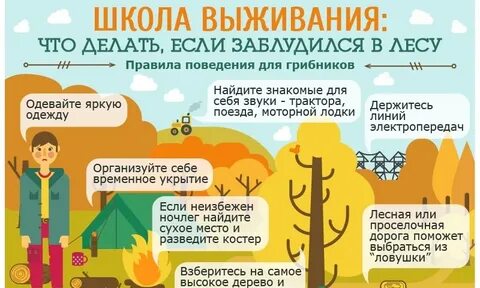 Советы как выжить в лесу