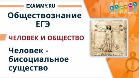 Сущность человека егэ обществознание
