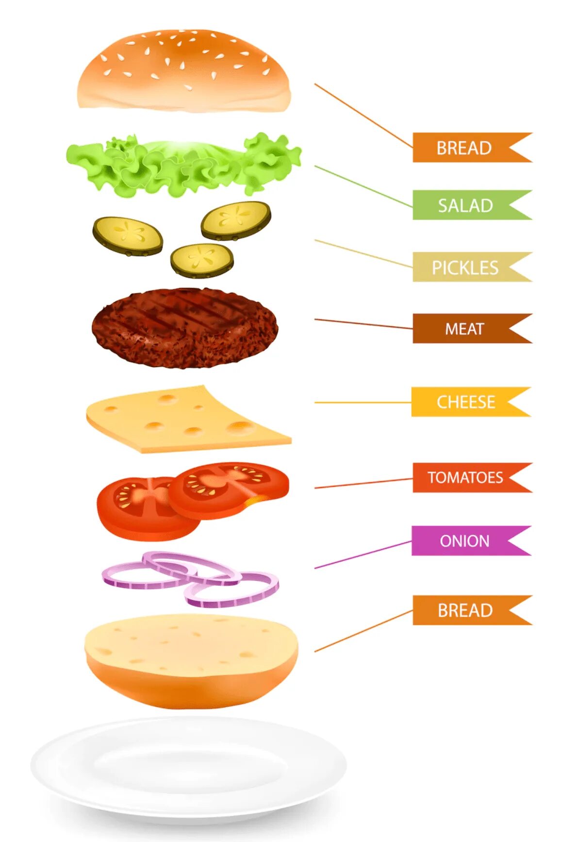 Гамбургер ингредиенты. Бургер по слоям. Ку собирать бургер. Гамбургер в разрезе. Бургер слои.