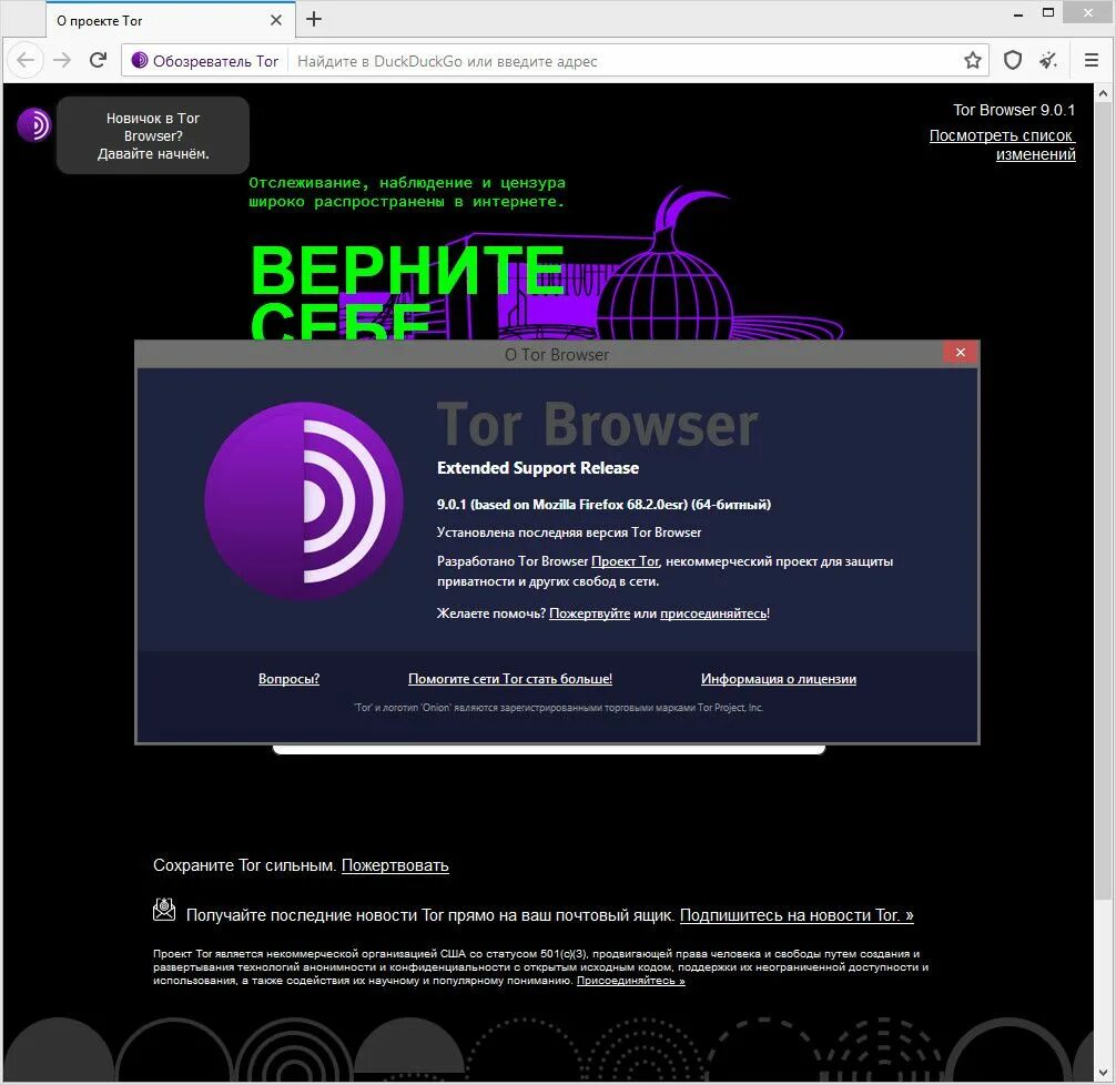 Torproject org download