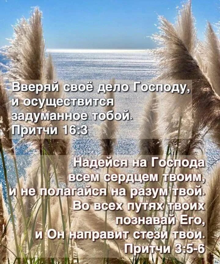 Притчи 16 3. Вверяй свое дело господу. Вверяй свое дело господу. Умное выражение лица еще не признак ума. Притчи 16 3.